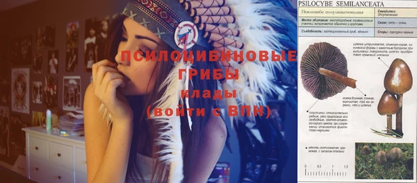 стаф Покров