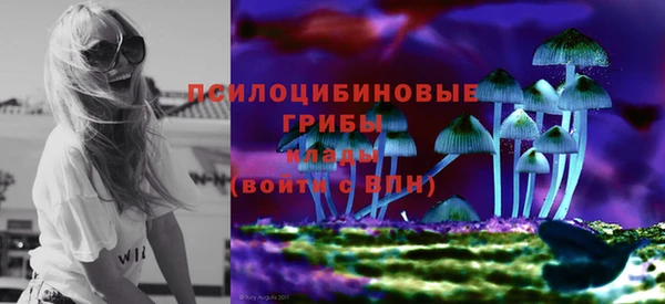 метадон Алексин