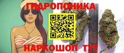 эйфоретик Пушкино