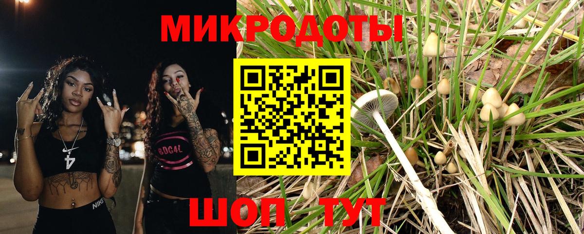 Полевской  даркнет сайт  Вход с VPN  Псилоцибиновые грибы мицелий 